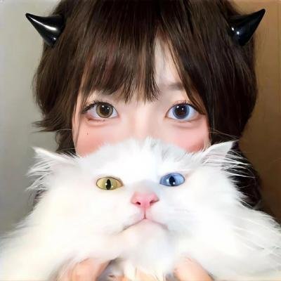 茶啊二中