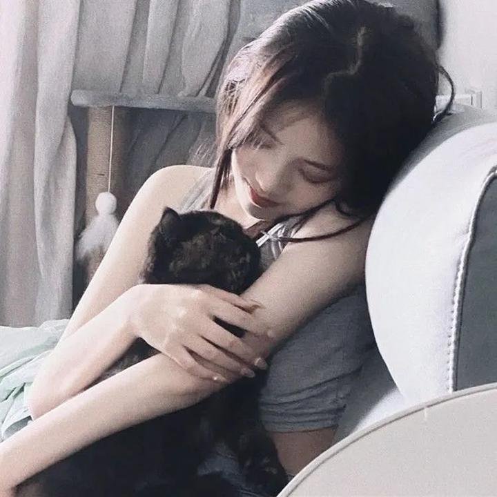 掟上今日子的备忘录